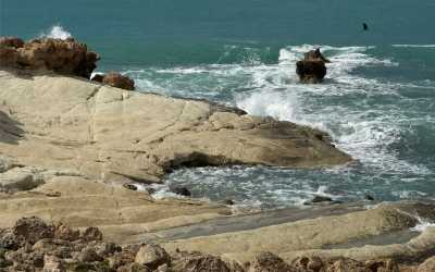 Wycieczka fakultatywna, Marathon Jeep Safari - Narodowy Park Akamas z Pafos