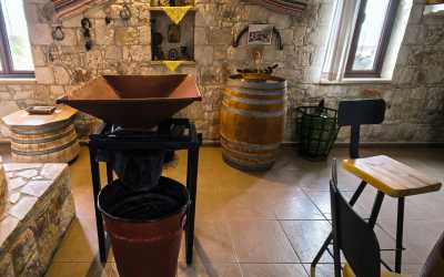 Wycieczka jednodniowa, Wycieczka Szlakiem Cypryjskich Winnic - Sterna Winiarnia