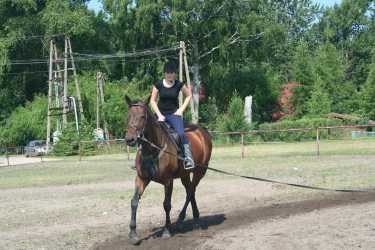 Obóz młodzieżowy, Niezapomniana Nadmorska Przygoda - OBÓZ KONNY (11-18 lat). Profesjonalne szkolenie dla początkujących, średnio zaawansowanych, zaawansowanych, obóz sportowo-szkoleniowy