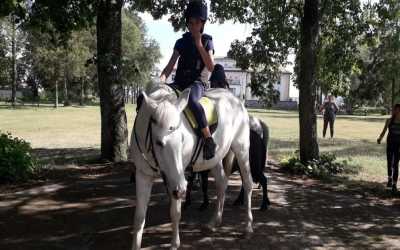 Wycieczka fakultatywna, Bluza Moro Runowo Team