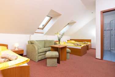 Obóz młodzieżowy, Chopok - obóz narciarsko-snowboardowy Pensjonat Larion *** (Kráľova Lehota, Słowacja) , 8 dni 13-19 lat